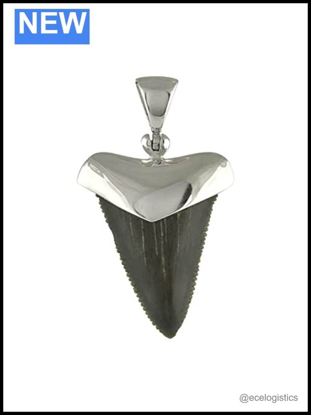 Sterling Silver Fossil Shark Tooth Cap Set Pendant Necklace Jewelry